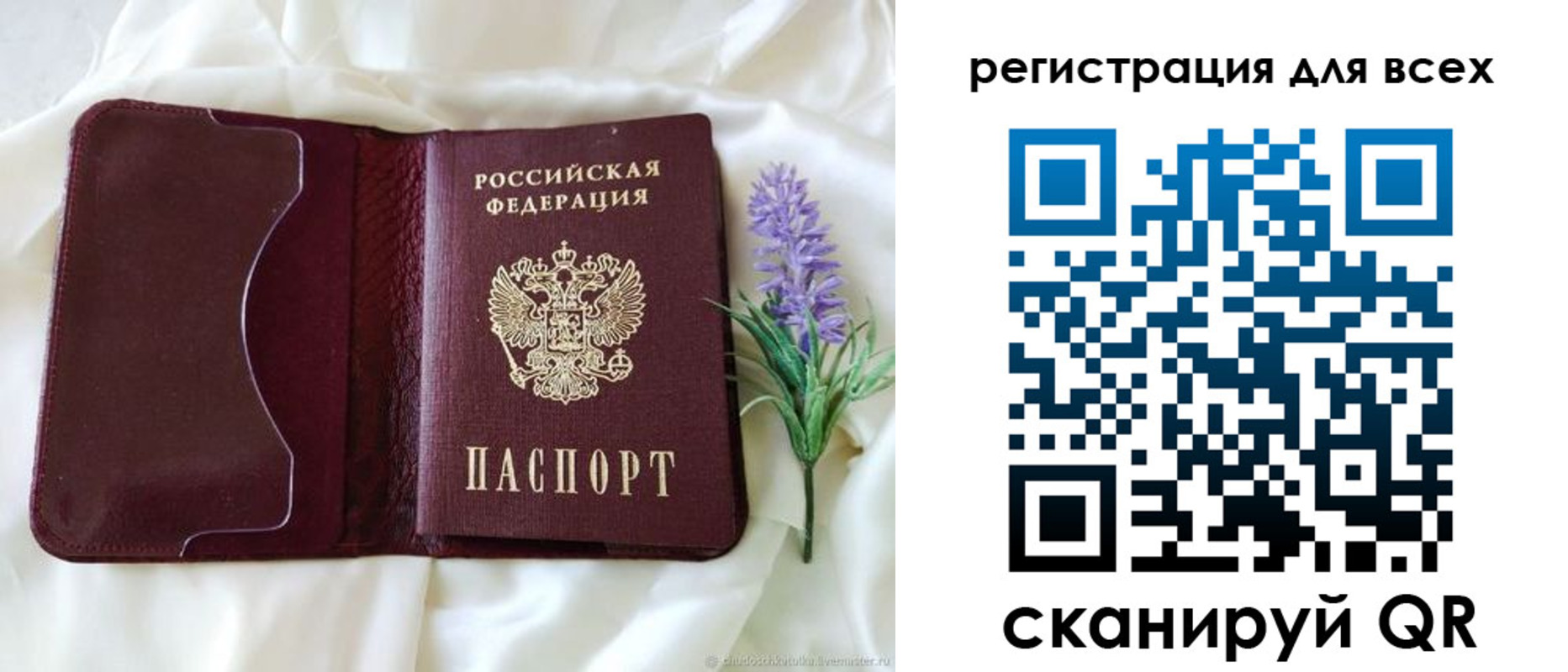 прописка 2025 в Стародубе